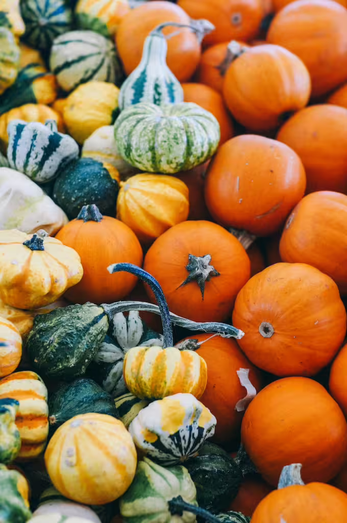 Autumn Vegetables