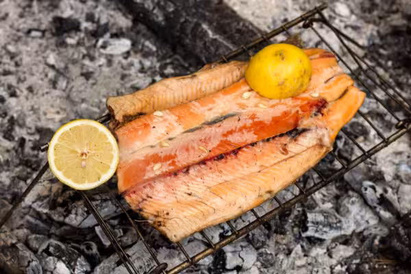 The Top 10 Pellet Grill Recipes, Salmon Fillets